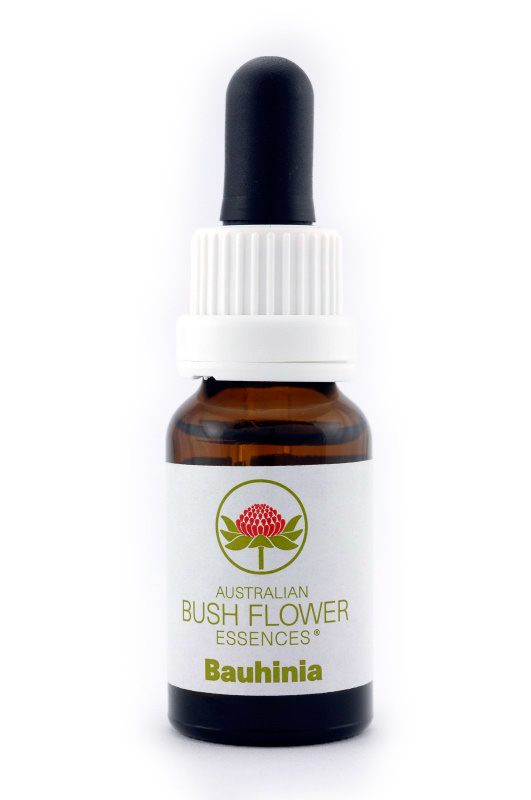 Australian Bush Flower Essence© Bauhinia 15 ml