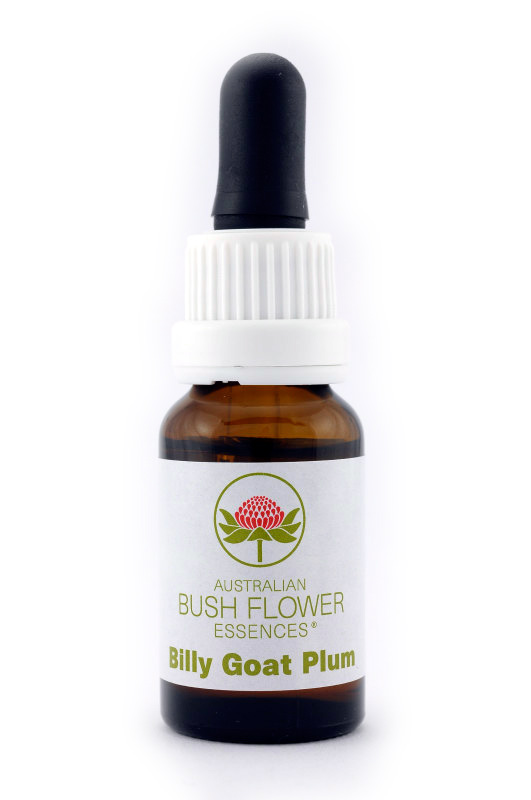 Australian Bush Flower Essence© Billy Goat Plum 15 ml