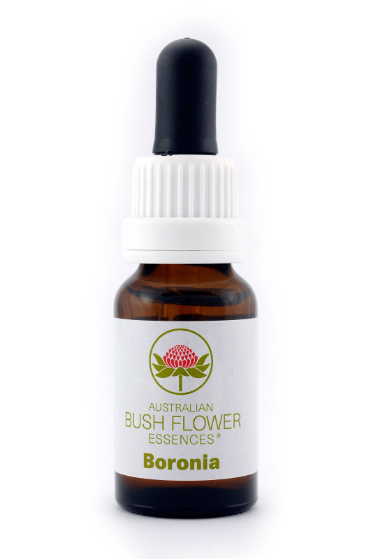 Australian Bush Flower Essence© Boronia 15 ml
