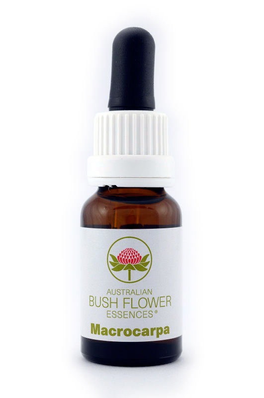 Australian Bush Flower Essence© Macrocarpa 15 ml