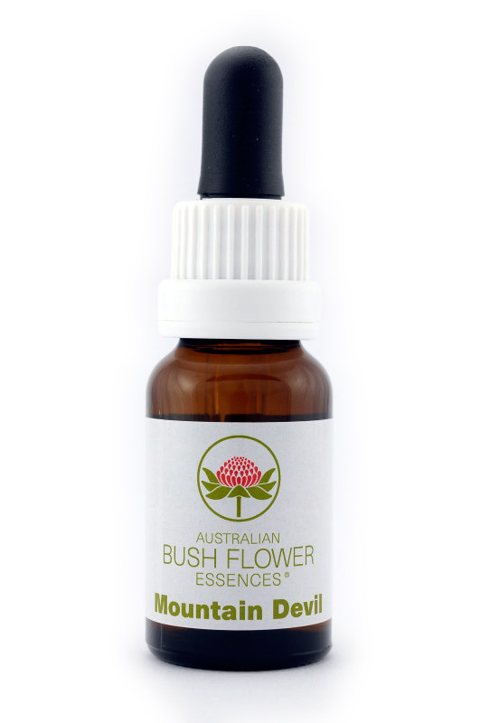 Australian Bush Flower Essence© Mountain Devil 15 ml