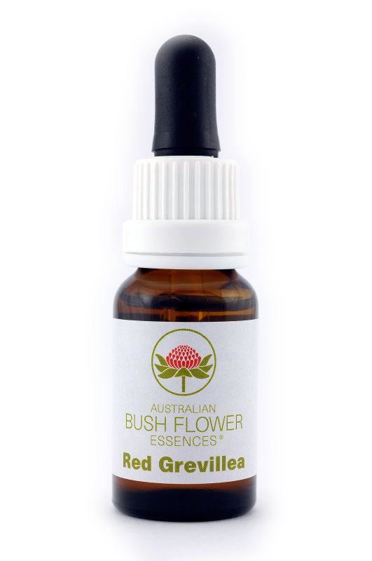 Australian Bush Flower Essence© Red Grevillea 15 ml