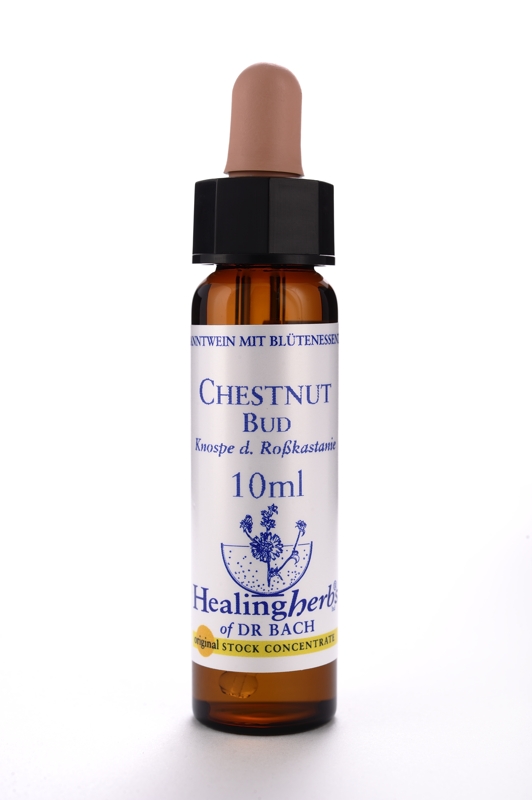 Chestnut Bud 10 ml Healing Herbs 107