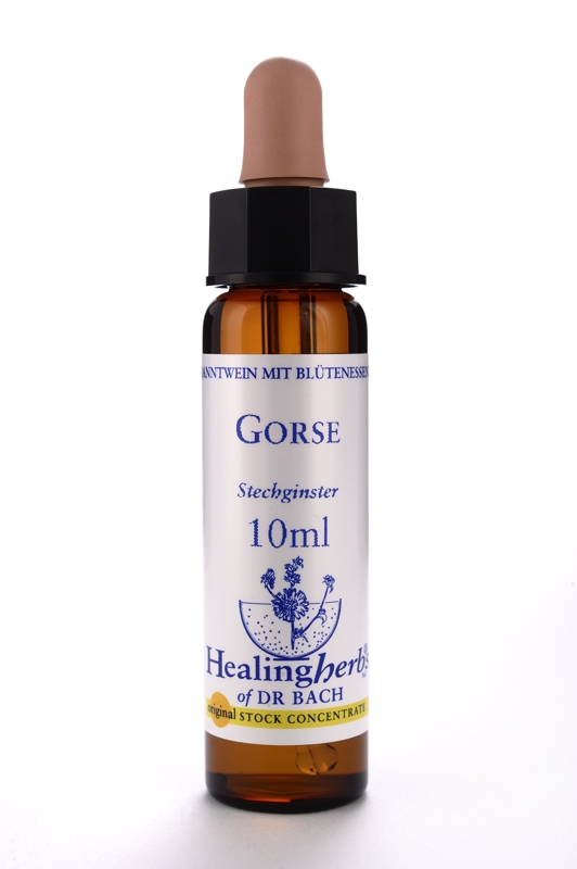 Gorse 10 ml Healing Herbs 113