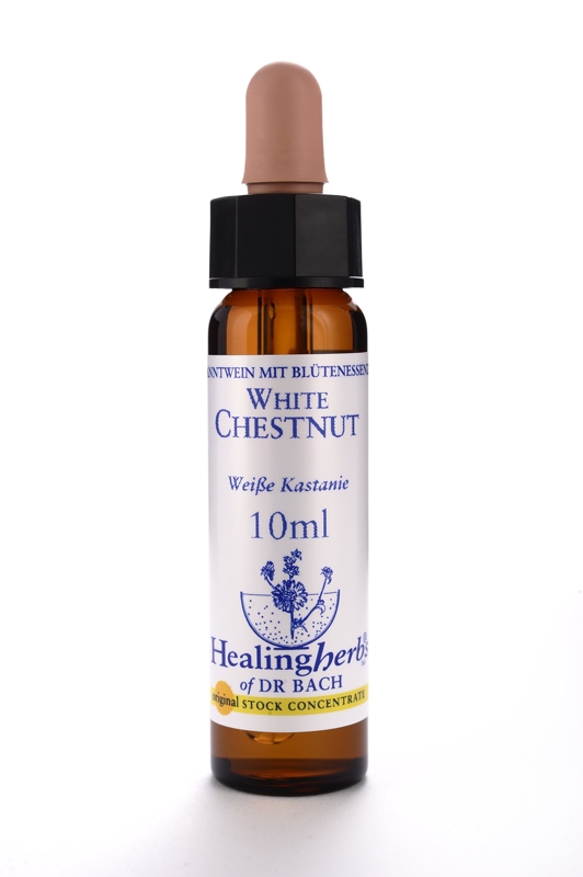 White Chestnut 10 ml Healing Herbs 135