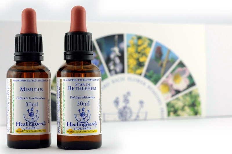 Healing Herbs Komplett-Set 40 x 30 ml 243
