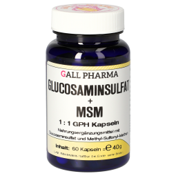 Glucosaminsulfat + MSM 1:1 GPH Kapseln