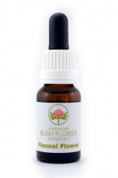 Australian Bush Flower Essence© Flannel Flower 15 ml