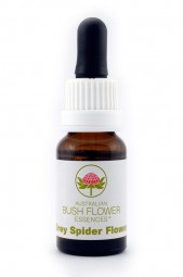 Australian Bush Flower Essence© Grey Spider Flower 15 ml