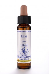 Elm 10 ml Healing Herbs 111