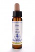 Oak 10 ml Healing Herbs 122