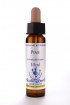 Pine 10 ml Healing Herbs 124