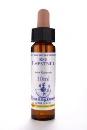 Red Chestnut 10 ml Healing Herbs 125