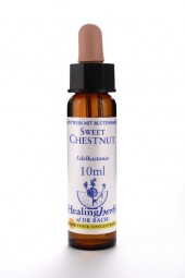 Sweet Chestnut 10 ml Healing Herbs 130
