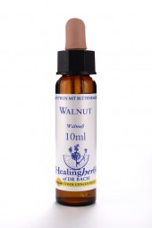 Walnut 10 ml Healing Herbs 133