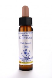 White Chestnut 10 ml Healing Herbs 135