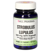 Strobulus Lupulus 125 mg GPH Kapseln