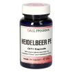 Heidelbeer PE 400 mg GPH Kapseln